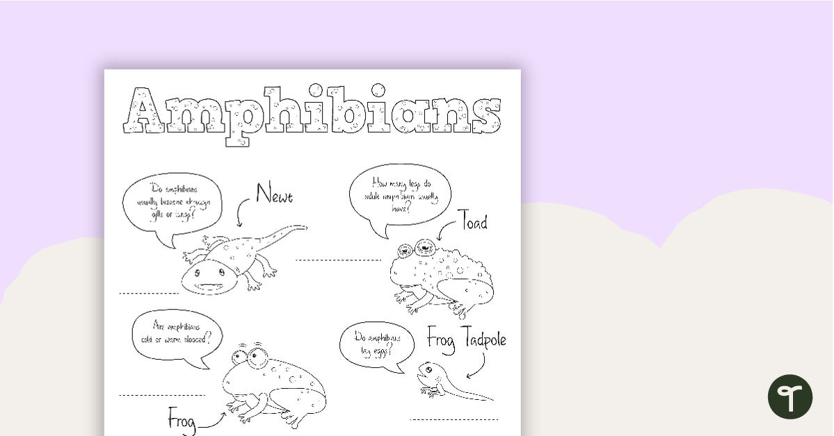 Amphibian Worksheet 1 teaching resource