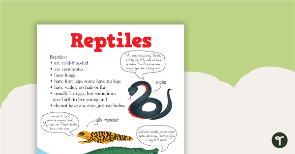 Animal Classification Poster – Reptiles teaching resource