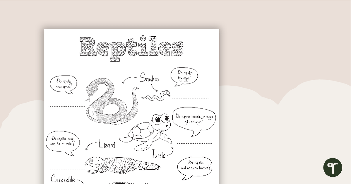 Reptile Worksheet 1 teaching resource