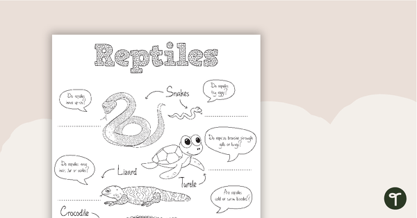 Go to Reptile Worksheet 1 teaching resource