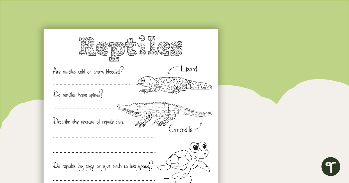 Reptile Worksheet 2 teaching resource