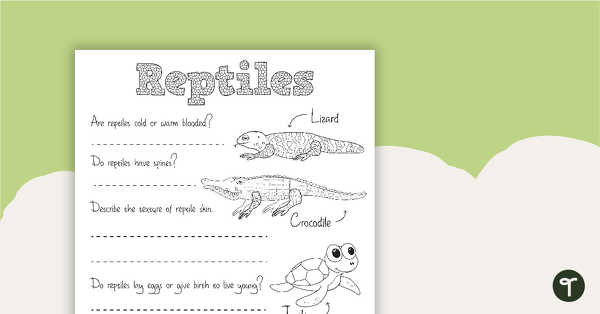 Go to Reptile Worksheet 2 teaching resource