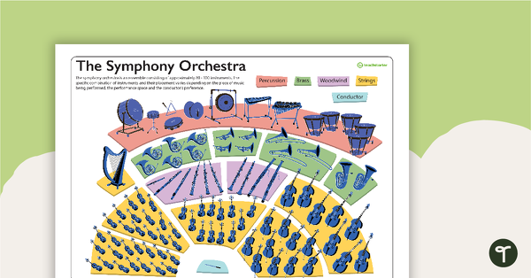 The Symphony Orchestra Poster teaching resource