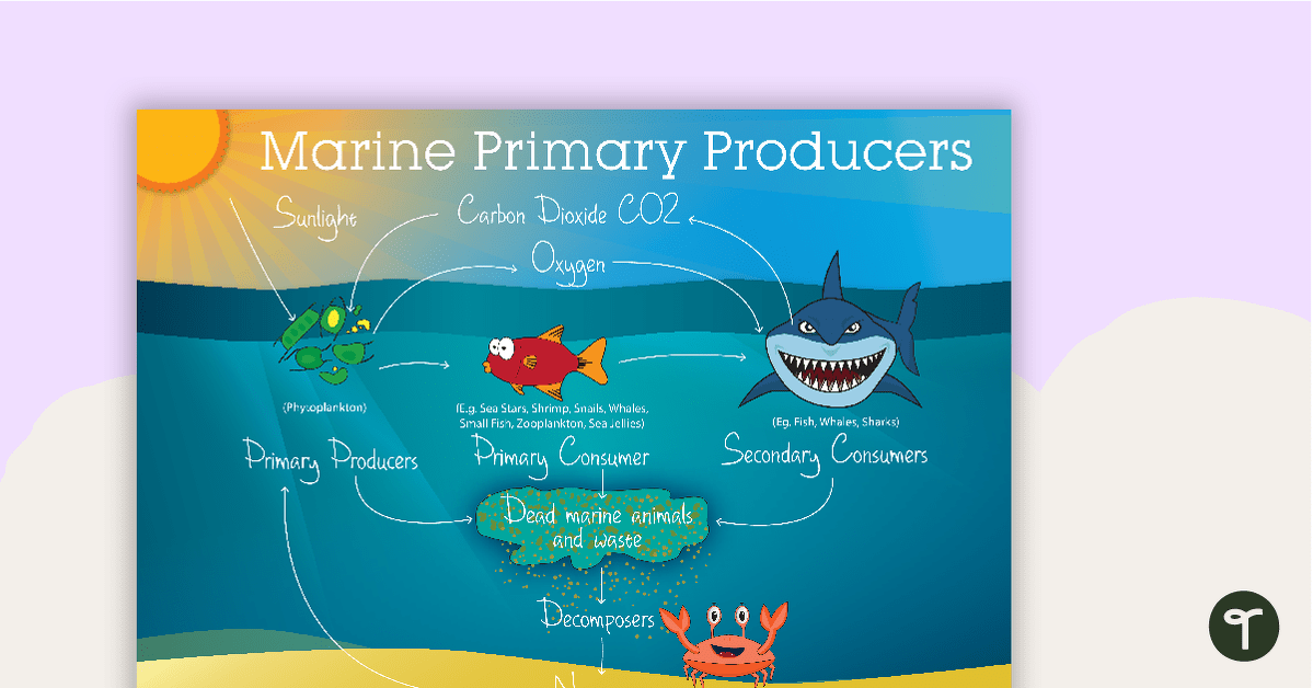 Marine Primary Producers teaching resource