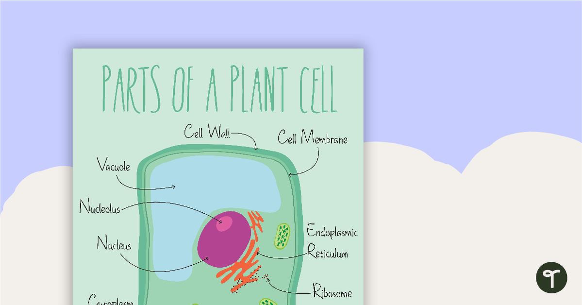 Parts of a Plant Cell Poster teaching resource