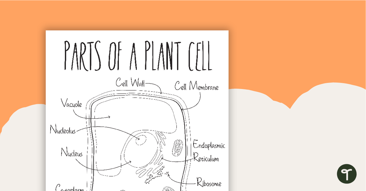 Parts of a Plant Cell Poster BW teaching resource
