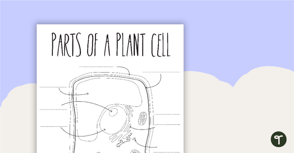Parts of a Plant Cell - Blank teaching resource