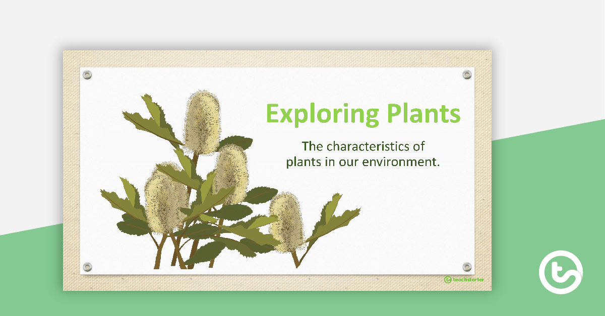 Exploring Plants PowerPoint teaching resource