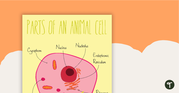 Parts of an Animal Cell Poster teaching resource