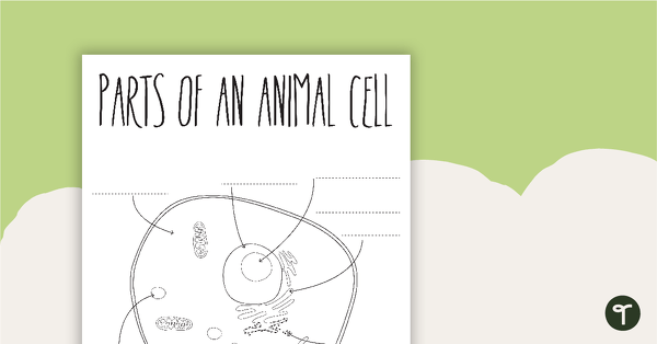 Parts of an Animal Cell - Blank teaching resource