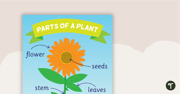 Parts of a Plant Poster teaching resource