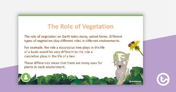 Vital Vegetation PowerPoint teaching resource