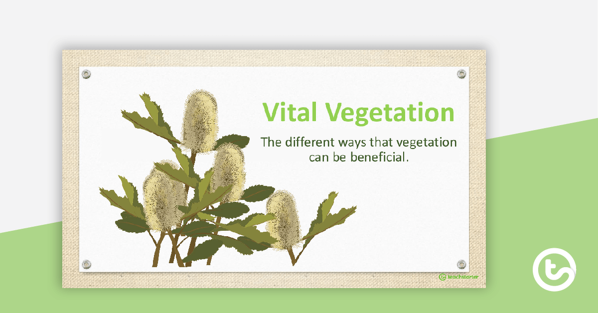 Vital Vegetation PowerPoint teaching resource