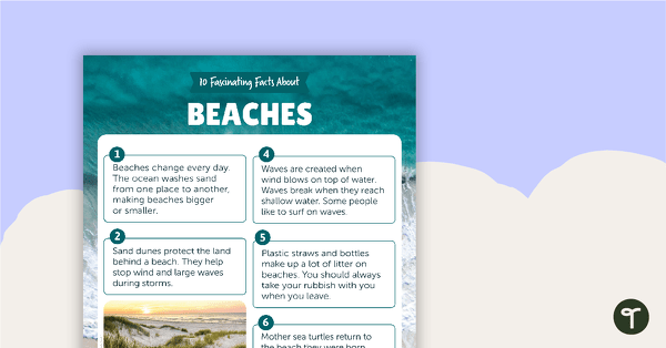 Go to 10 Fascinating Facts About Beaches – Comprehension Worksheet teaching resource