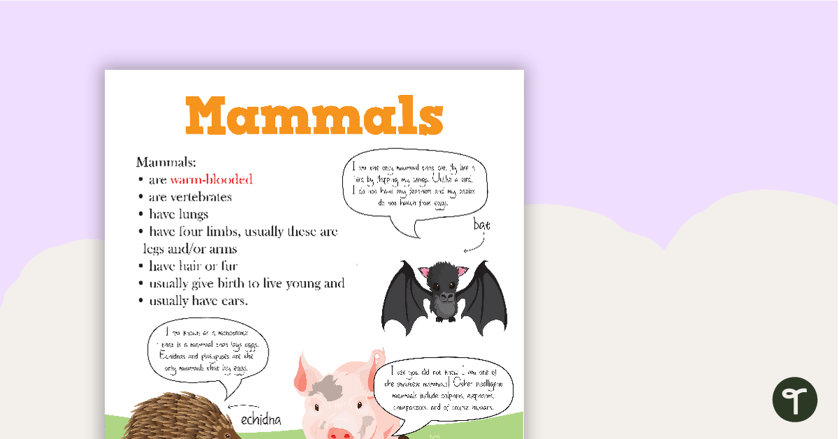Animal Classification – Mammals Posters teaching resource