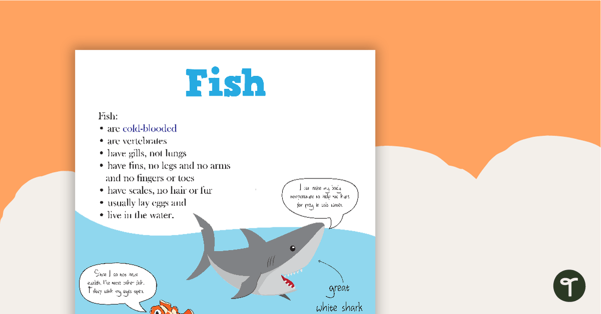 Animal Classification Poster – Fish teaching resource