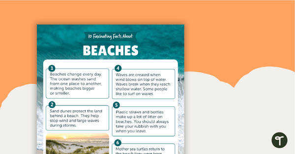 10 Fascinating Facts About Beaches – Comprehension Worksheet teaching resource