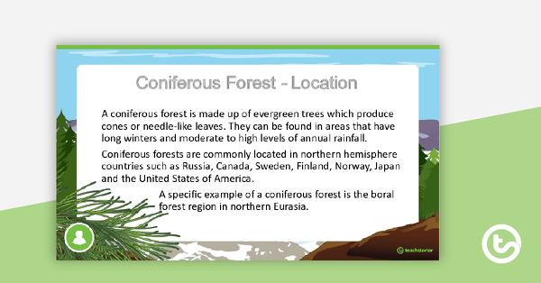 Coniferous Forest PowerPoint teaching resource