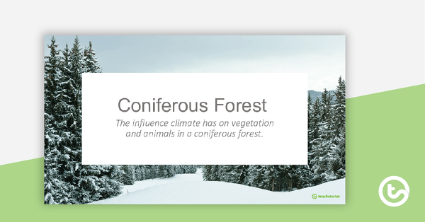Go to Coniferous Forest PowerPoint teaching resource
