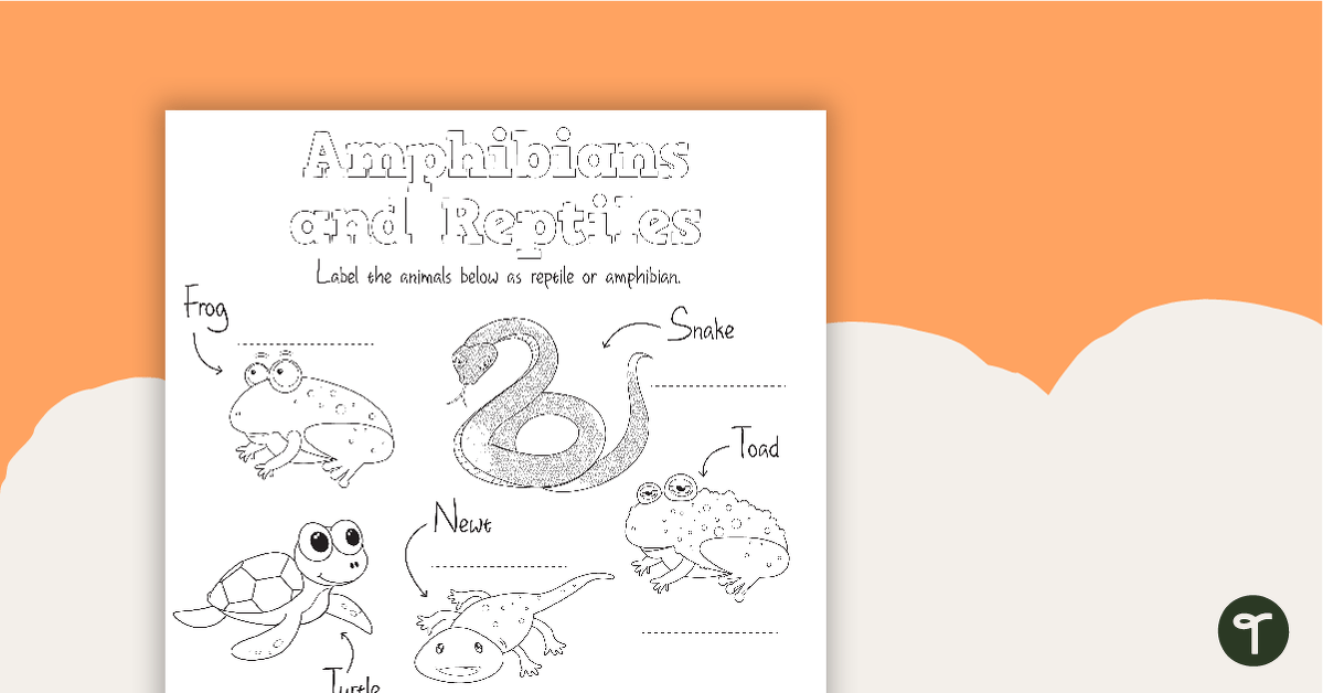 Classifying Reptiles and Amphibians Worksheet teaching resource