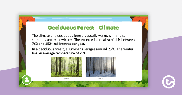 Deciduous Forest PowerPoint teaching resource
