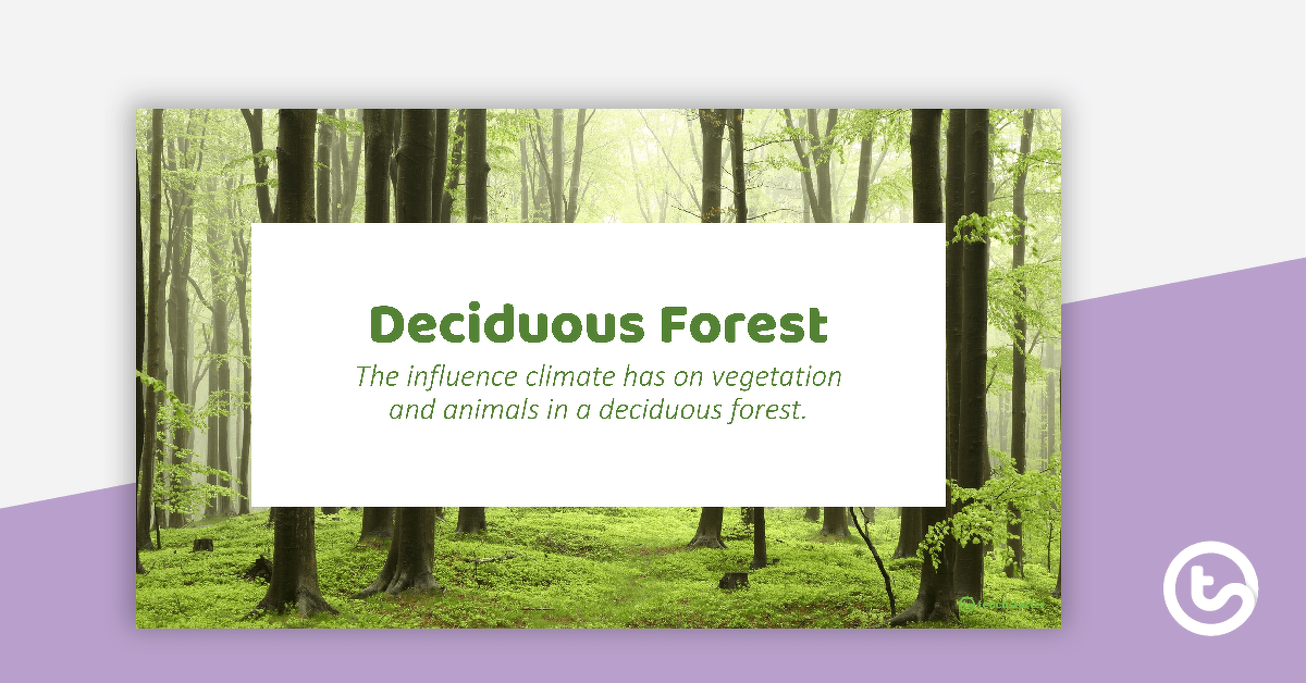 Deciduous Forest PowerPoint teaching resource