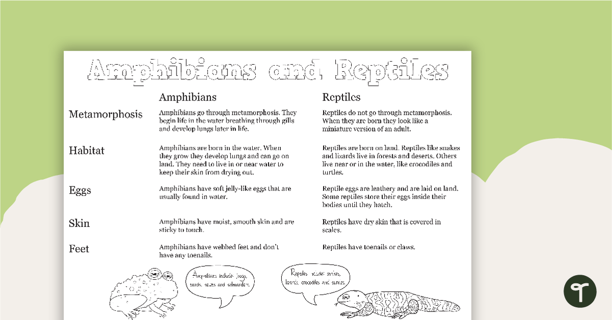 Preview image for Reptile and Amphibian Information Sheet - teaching resource