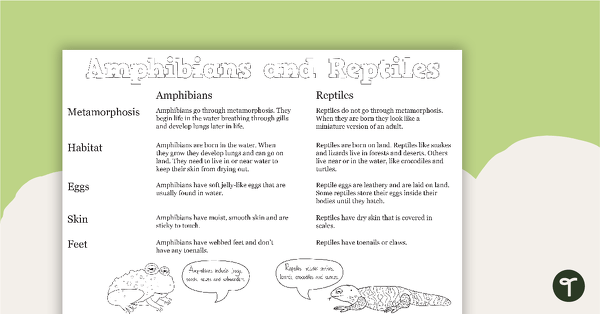 Reptile and Amphibian Information Sheet teaching resource