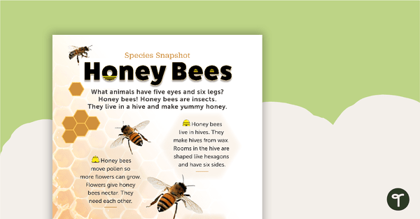 Image of Species Snapshot Worksheet - Honey Bees