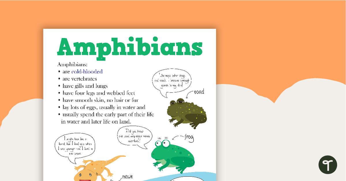 Preview image for Amphibians and Reptiles Worksheets and Posters Pack - teaching resource