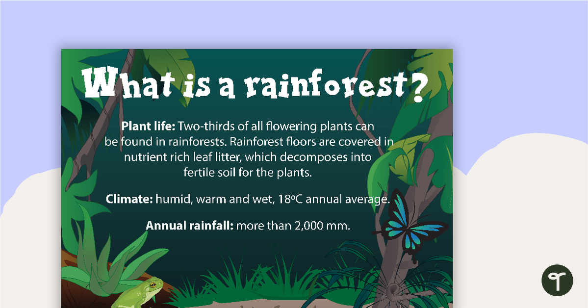 What is a Rainforest? Poster teaching resource