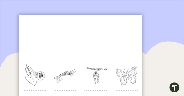Go to Life Cycle of a Butterfly Concertina Activity teaching resource