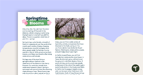 Springtime Blooms – Comprehension Task teaching resource