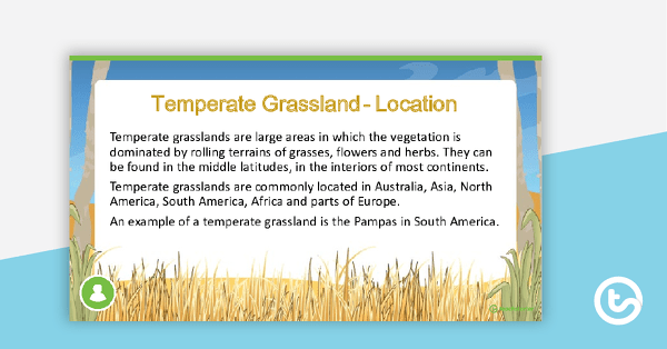 Temperate Grassland PowerPoint teaching resource