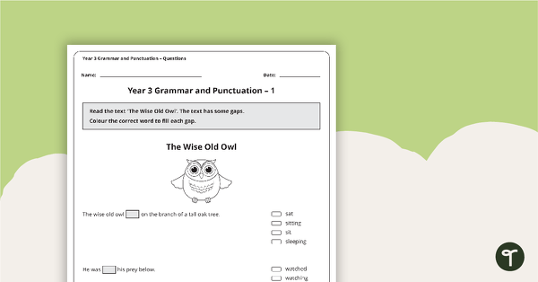 Go to Grammar and Punctuation Assessment Tool - Year 3 teaching resource