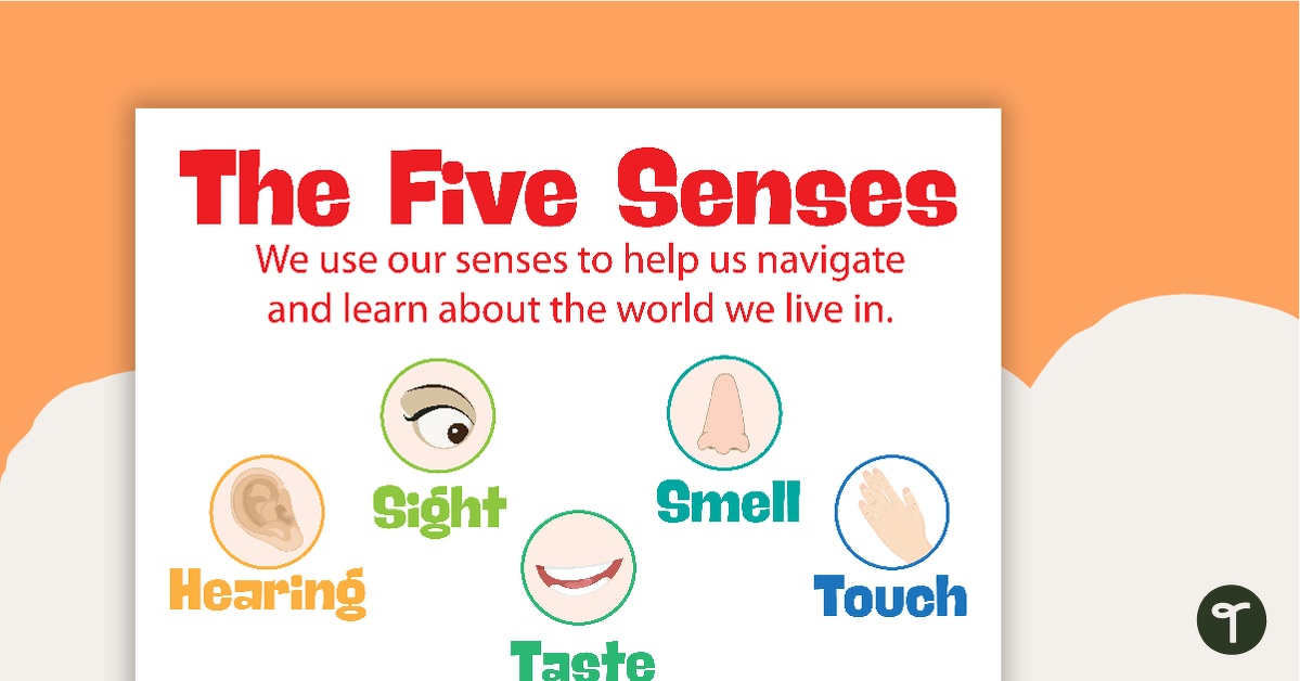 Preview image for The 5 Senses Posters - teaching resource
