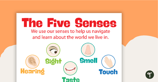 Go to The 5 Senses Posters teaching resource