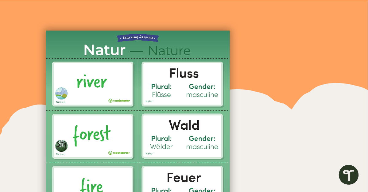 Nature – German Language Flashcards teaching resource