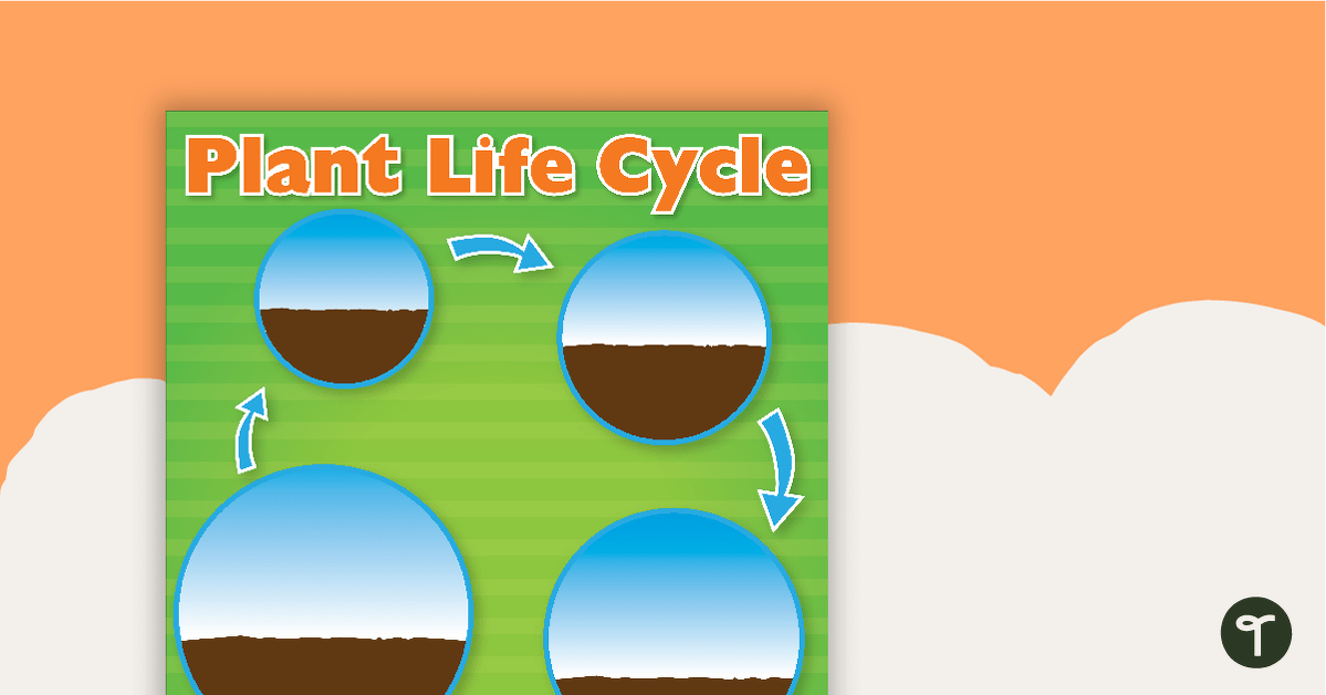 Plant Life Cycle Sort teaching resource