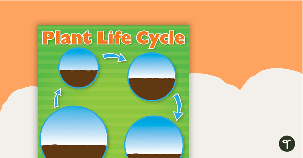 Go to Plant Life Cycle Sort teaching resource
