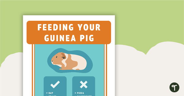 Feeding Your Guinea Pig – Instruction Sheet teaching resource