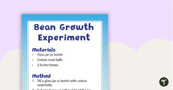 Bean Growth Experiment teaching resource