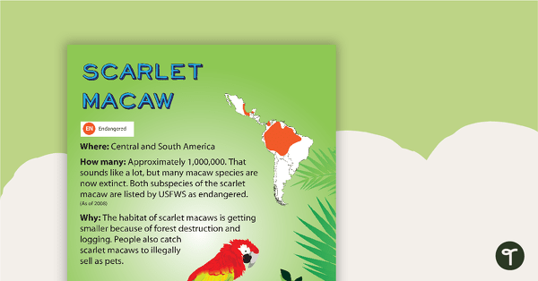 Go to Scarlet Macaw Endangered Animal Poster teaching resource