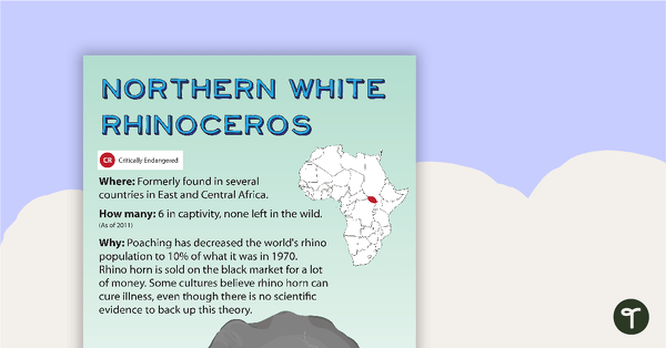 Northern White Rhinoceros Endangered Animal Poster teaching resource