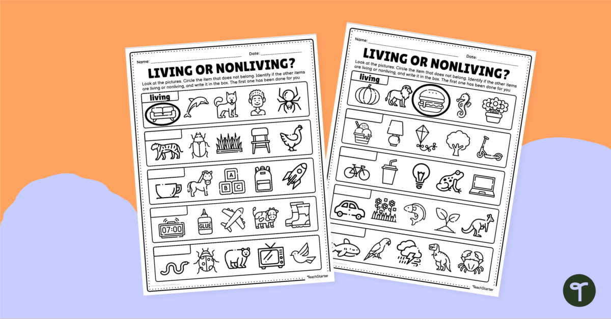 Living or Non-Living? Worksheet teaching resource