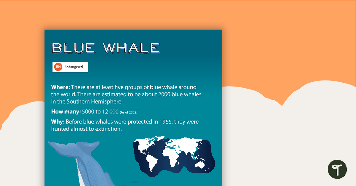 Blue Whale Endangered Animal Poster teaching resource