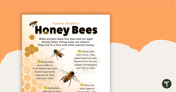 Preview image for Species Snapshot Worksheet - Honey Bees - teaching resource
