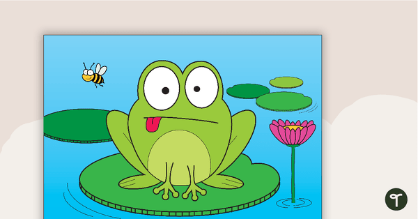 Frog in a Pond - Coloured Picture teaching resource