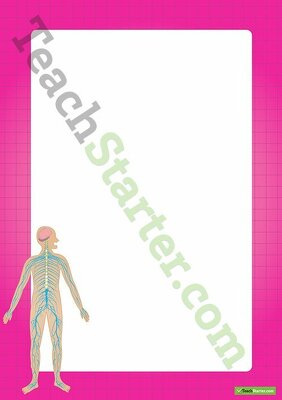 Human Body Nervous System Border - Word Template teaching resource