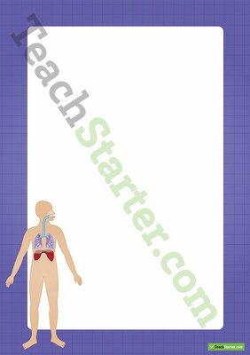Human Body Respiratory System Border - Word Template teaching resource